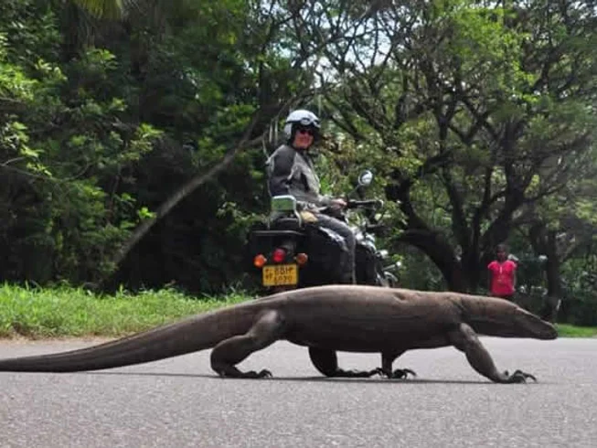 20 Day Sri Lanka Mountains and Coast Guided Motorcycle Tour photo 4