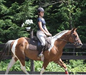 321 jours camp équestre d’été pour filles 6–17 ans à Newbury, Vermont, USA - Photo 1