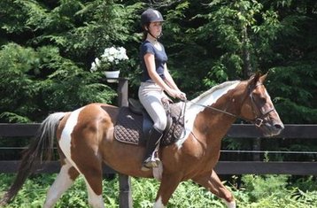 21-Daagse Equestrisch Zomerkamp voor Meisjes van 6 - 17 jaar in New