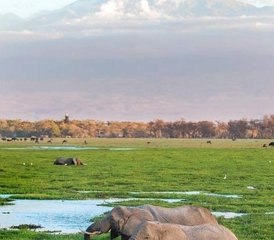 9 jours safari en jeep à Samburu, au lac Nakuru, au Maasai Mara, au lac Naivasha et à Amboseli, Kenya - Photo 4
