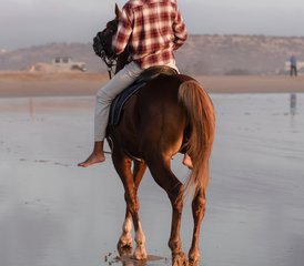 8-Daagse Unieke Kustavontuur en Ruitervakantie in Marokko van Essaouira naar Agadir te Paard - Photo 3