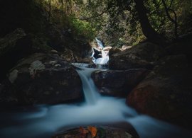 Belihuloya Retreats & Trips