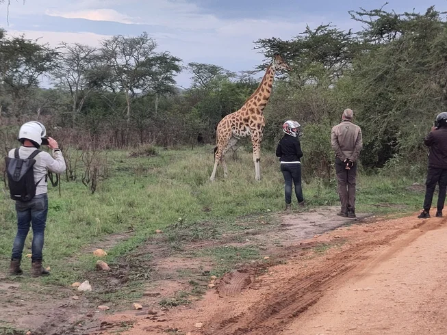 5 Day Uganda Gorilla Express Guided Motorcycle Tour photo 5