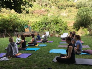 8-Daagse Meditatie en Yoga Retreat tussen de Olijfbomen in Stari Bar, Montenegro