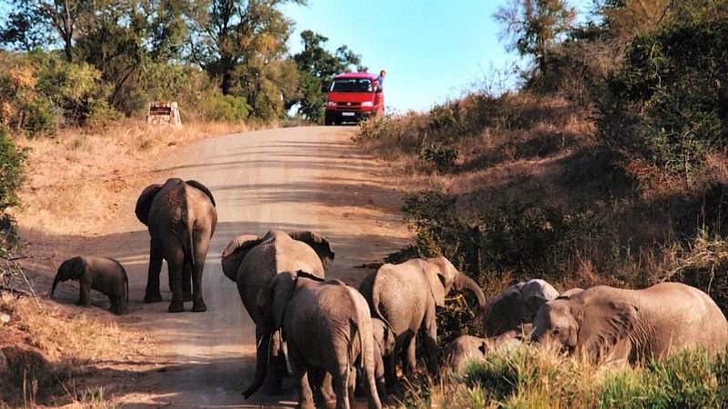 south africa safari budget tour