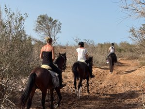 Niet-Residentiële Paardrijdag in Essaouira, Marokko, Met Strand, Duinen en Bos