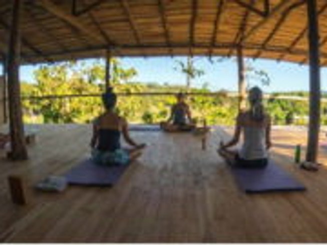 THE 10 BEST Kauai Yoga & Pilates Activities (Updated 2024)