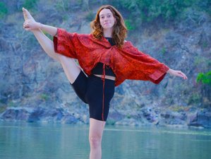 27 Day 200-Hour Ayurveda, Hatha, Ashtanga, Vinyasa, Yin Yoga Teacher Training in Rishikesh, India