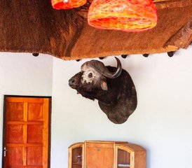 10 Tage Safari zu Pferd in der Greater-Kruger-Region, Südafrika - Photo 5