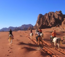 9 Day Petra and Wadi Rum Horse Riding Tour in Jordan - Photo 5