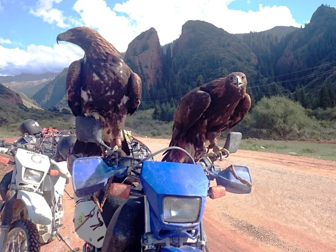 12 Day The Great Tien Shan Mountains Guided Motorcycle Tour in Kyrgyzstan photo 8