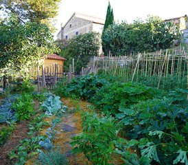 6 Tage La Dolce Vita Yoga Retreat in der Toskana, Italien - Photo 5