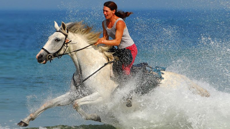 8 Day Adapted Horse Jumping Training with Leisure Rides in Mimizan, Landes