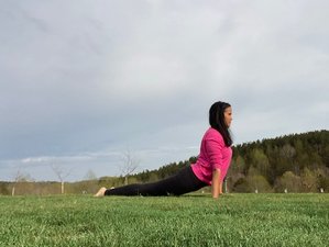 Top 10 Yoga Retreats In North Carolina
