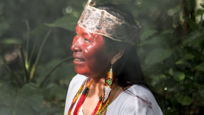 4 Day Ayahuasca and Other Sacred Rituals with The Huni Kuin Tribe in Sao Bernadino, Portugal