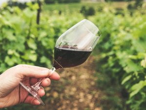 6 Day Flavours of Lyon and Rhone Valley: Culinary and Wine Journey with Courtney Roulston in France