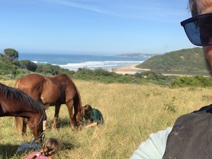 8 Day Budget Horse Riding Adventure in Wild Coast, South Africa