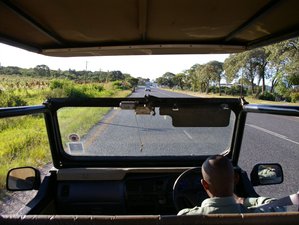 3 Day Affordable Kruger National Park Safari on a Budget