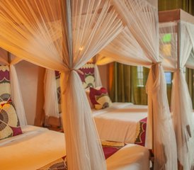 3 Day Tanzania Safari From Zanzibar: Explore Tarangire, Lake Manyara, and Ngorongoro Crater - Photo 5