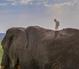 6 jours safari à Amboseli, au lac Nakuru et au Masai Mara, Kenya - Photo 2