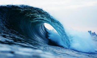 Isla Negra Retreats & Trips