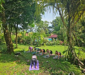 11 Day Fall into Nature: Women's Pura Vida Wellness Retreat With Unlimited Spa Treatments Costa Rica - Photo 5