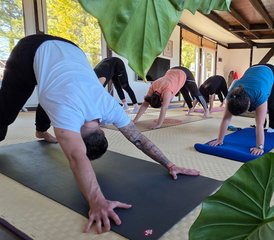 5 Day Ashtanga, Hatha Yoga, Nature, and Self-Discovery Retreat in Novi Sad, Serbia - Photo 3