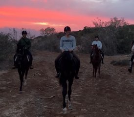 4 jours en stage d'équitation sur l'Atlantique : expériences au lever et au coucher du soleil à Essaouira, Maroc - Photo 3