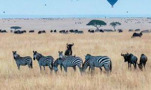 Narok County Retreats und Reisen