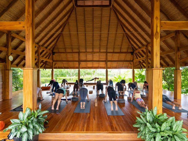 8 Day Luxury Yoga Retreat in the Comfort of Bodhi Tree Resort, Nosara ...