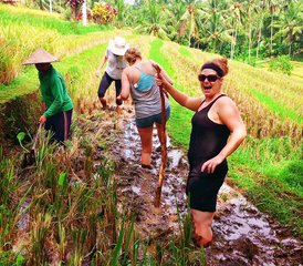 8 jours en stage de yoga Watukaru ancestral, culture balinaise et bien-être à Bali, Indonésie - Photo 4