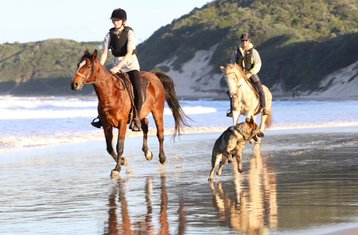 15 Day Fully Inclusive Horse Holiday with Tom and Tori Horse and Heart Adventures in South Africa