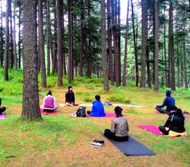 106 Day Detox Mind-Body: Healing, Meditation, and Yoga Retreat in Dharamshala, Himachal Pradesh, India - Photo 1