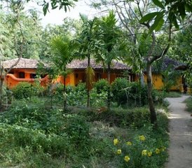 15 Tage Yoga-Heilungsretreat in Ulpotha, Sri Lanka - Photo 4