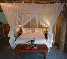 64 Tage Luxus-Safari im Balule Nature Reserve und im Kruger-Nationalpark, Südafrika - Photo 1