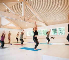 2 Day International Day of Yoga Special Mini Retreat in Scionzier, Haute-Savoie, in France - Photo 3