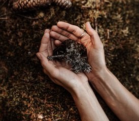 4 Tage Natur und Yoga Retreat in Arosa, Schweiz - Photo 5