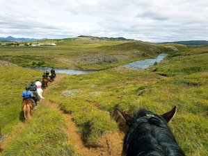 4 Day Riding Between Rivers Horseback Riding Holiday in Selfoss, Árborg