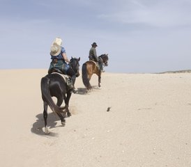 8 jours de randonnée équestre sur le sentier de la côte atlantique au Maroc - Photo 5