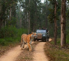 12 Tage Luxus-Wildtiertour in Pench, Kanha und Bandhavgarh, Indien - Photo 4