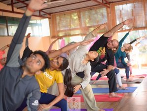 6 Day Ayurvedic Wellness Yoga Retreat in Rishikesh, India