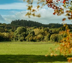 7 Tage Menopause Retreat für Frauen mit Ayurveda-Behandlungen, Yoga und Meditation in Hereford, Vereinigtes Königre - Photo 3