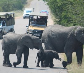 3 Tage Bestes vom Kruger Nationalpark: Klassische Big Five Safari in Südafrika - Photo 2