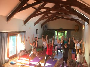 3 Day Transformative Yoga and Acupuncture Retreat in Totnes, Devon, UK