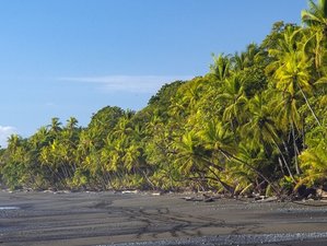 8 días de retiro Pura Vida en Costa Rica 
