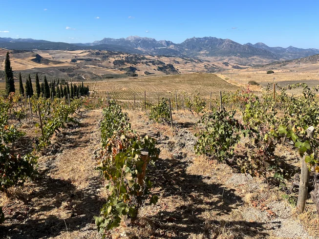 5 Day Guided Retro Motorcycle Premium Tour Experience in Authentic Inland Andalusia, Spain photo 9