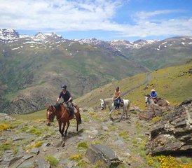 26-Daagse Korte Vakantie en Paardrijtour in La Alpujarra, Andalusië, Spanje - Photo 1