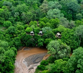 5 Tage Mini Zentral- bis Süd-Safari in Malawi - Photo 3