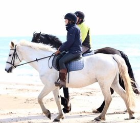 7 Day Luxury Horse Riding Holiday: Single Traveller Special in Wicklow, Ireland - Photo 2