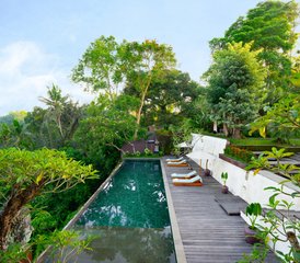 14 Day Elevate Luxury Yoga and Mindful Retreat: A Transformative Holistic Retreat in Bali, Indonesia - Photo 4